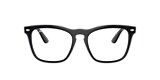 Ray-Ban Glasses RB4487V STEVE OPTICS