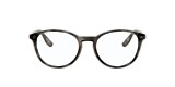 Chaps Glasses CP3047