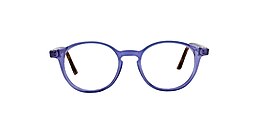 clearly Glasses carlyle