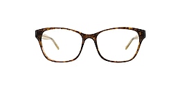 main and central Glasses prahran
