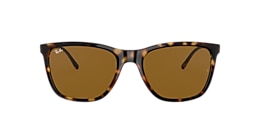 ray-ban Sunglasses rb4344
