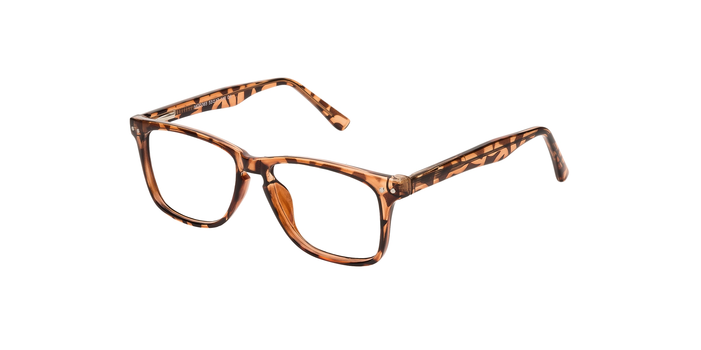 Clearly Glasses SAINT-HENRI