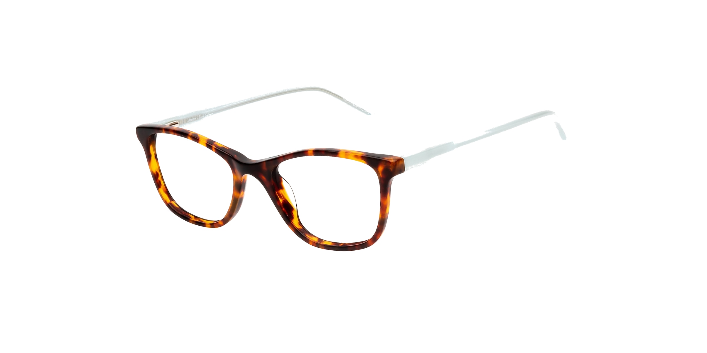 Clearly Glasses SAGITTA