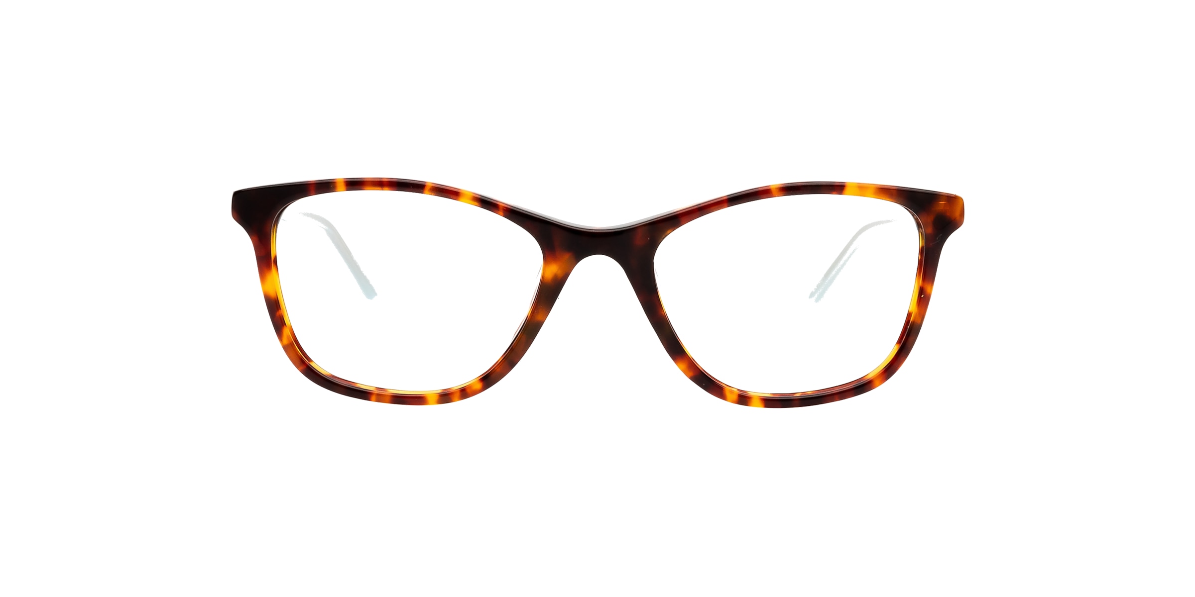 Clearly Glasses SAGITTA