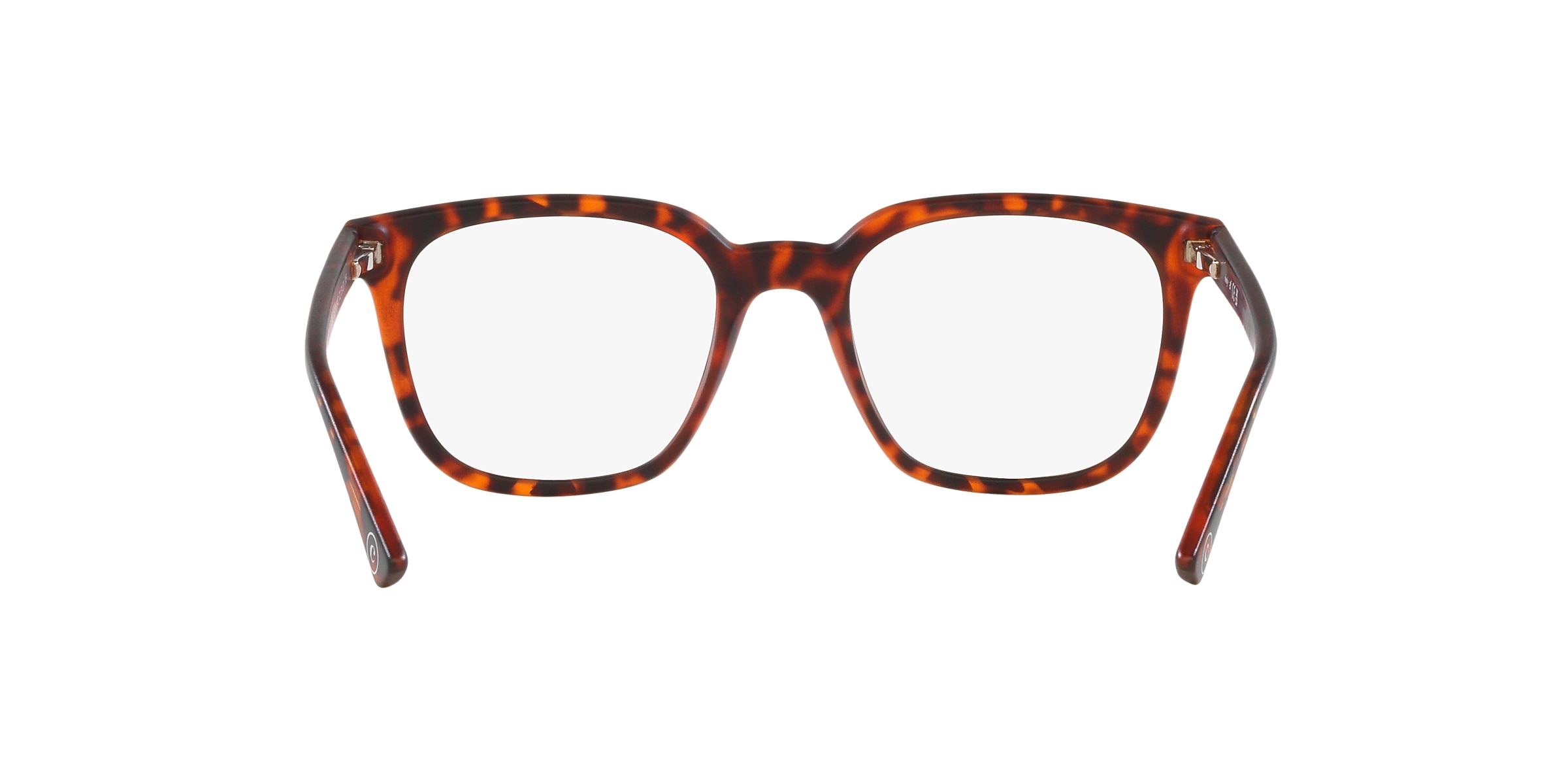 Clearly Glasses TADOUSSAC