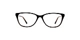 Clearly Glasses BOTWOOD