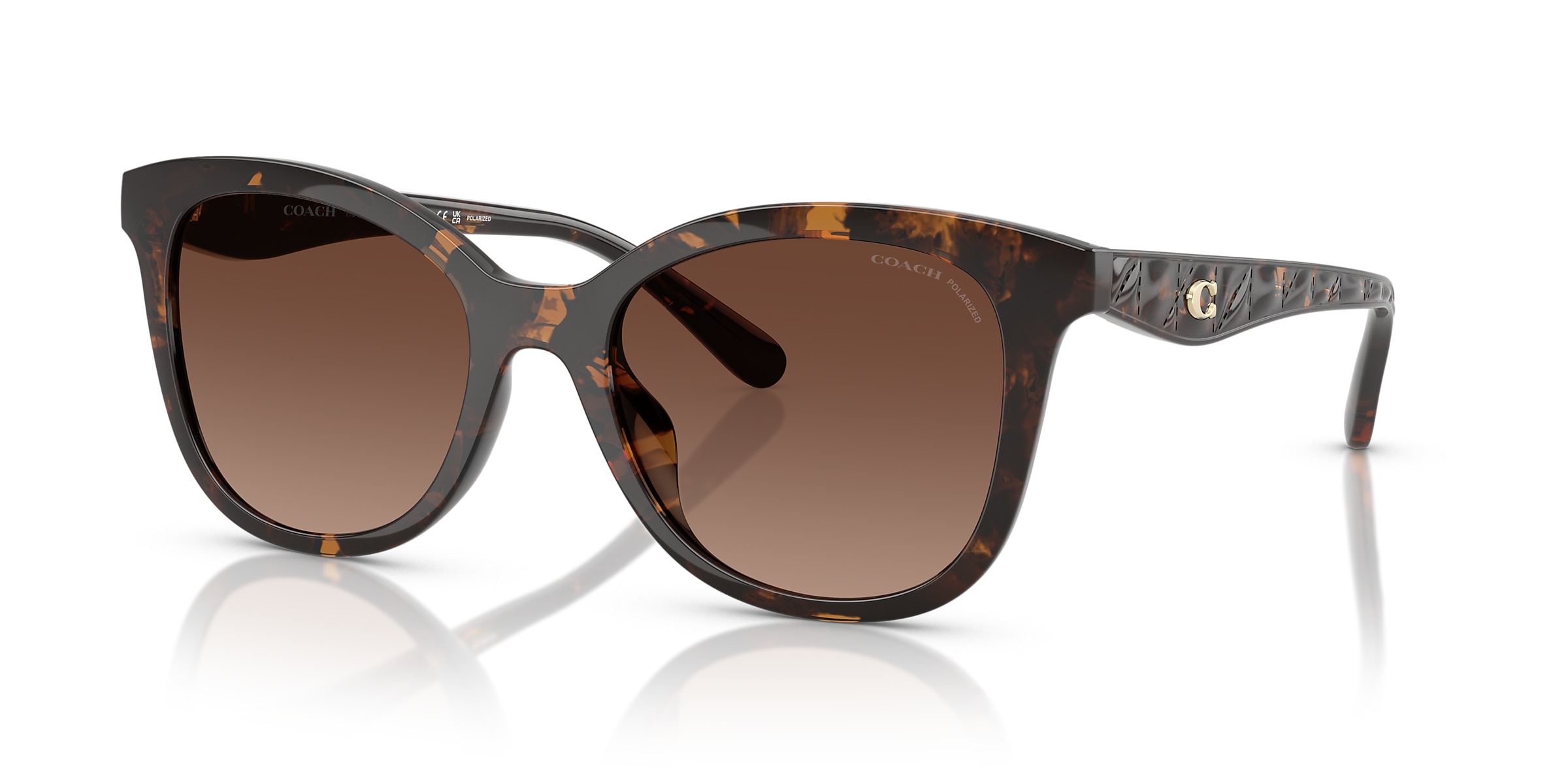 Coach Sunglasses HC8419U CAD25