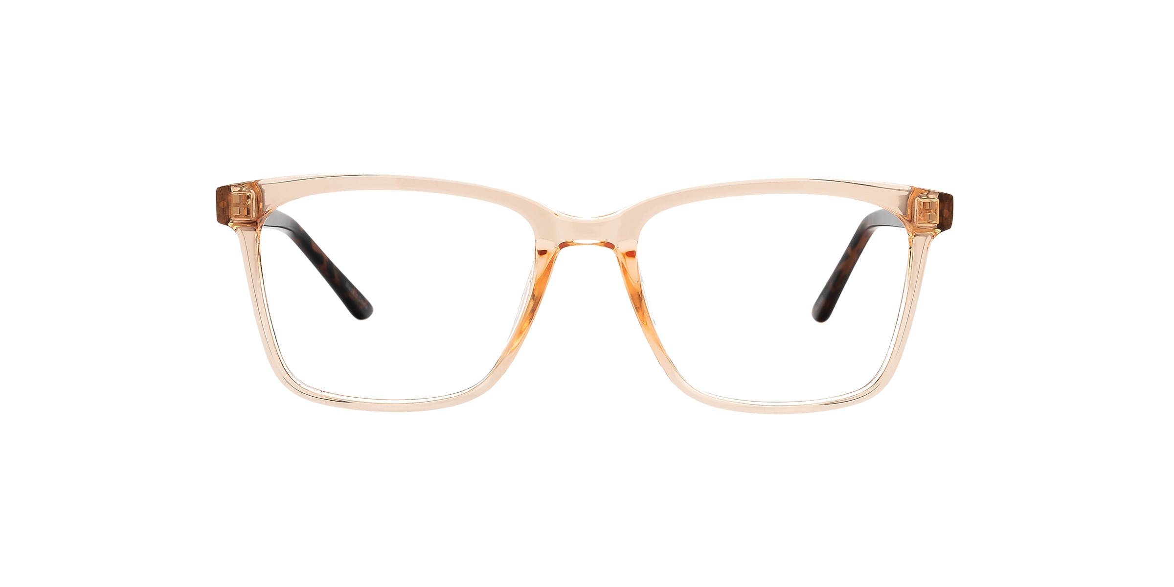 Clearly Glasses BURIN