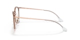 RB7140 OPTICS