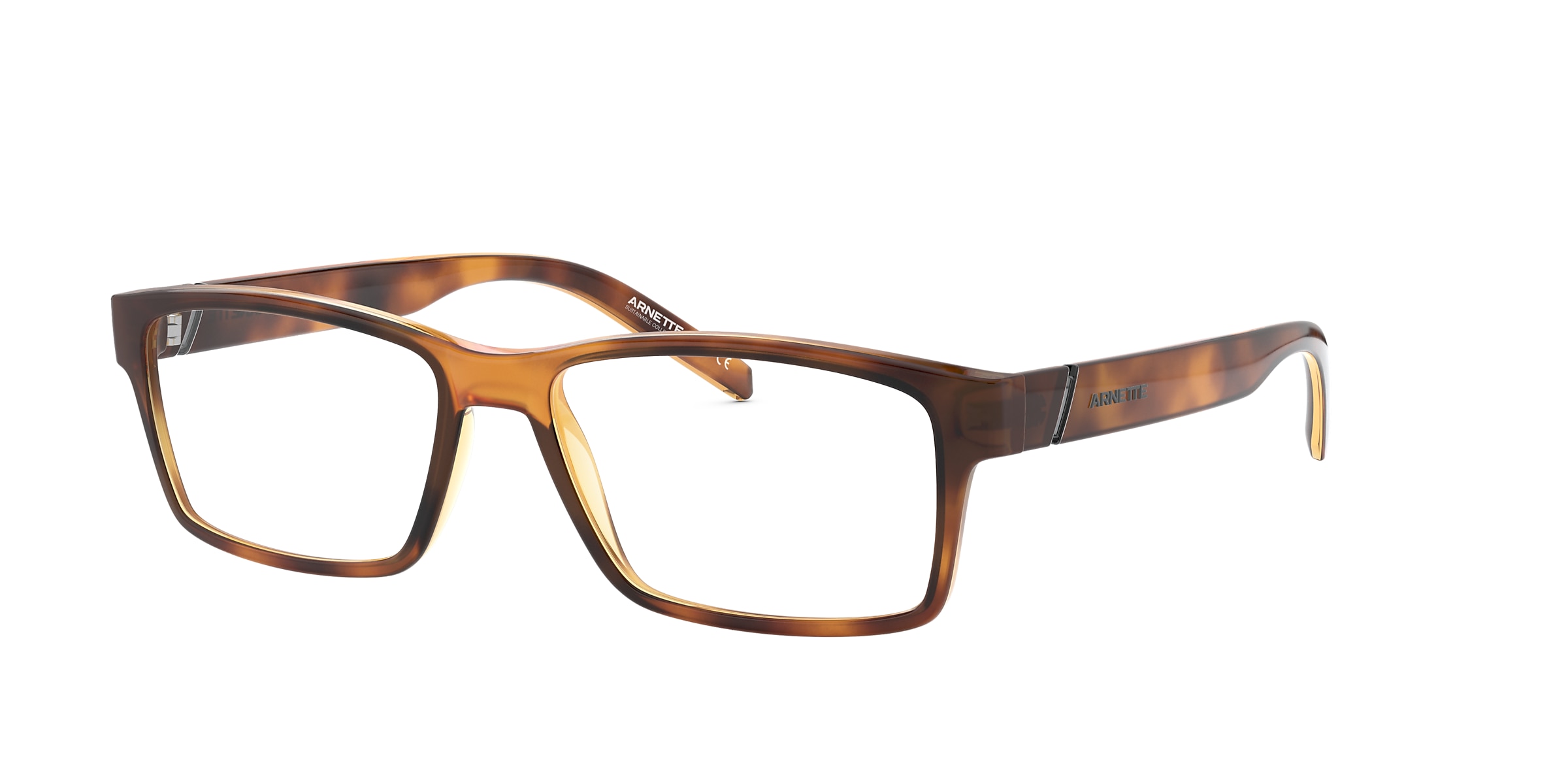 Arnette Glasses AN7179 LEONARDO
