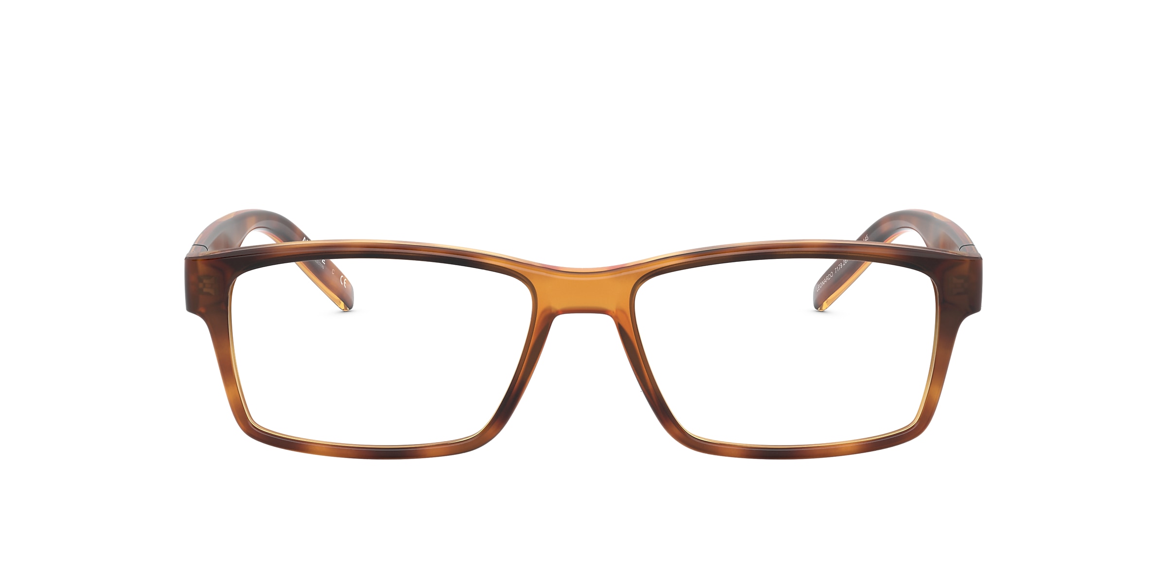 Arnette Glasses AN7179 LEONARDO