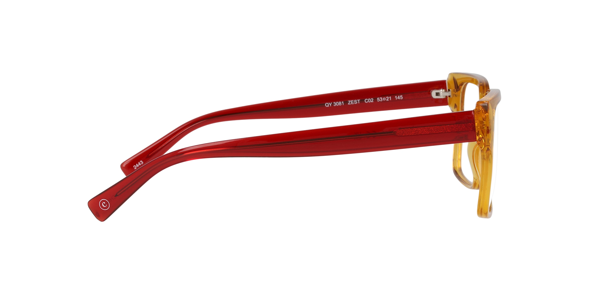 Clearly Glasses ZEST