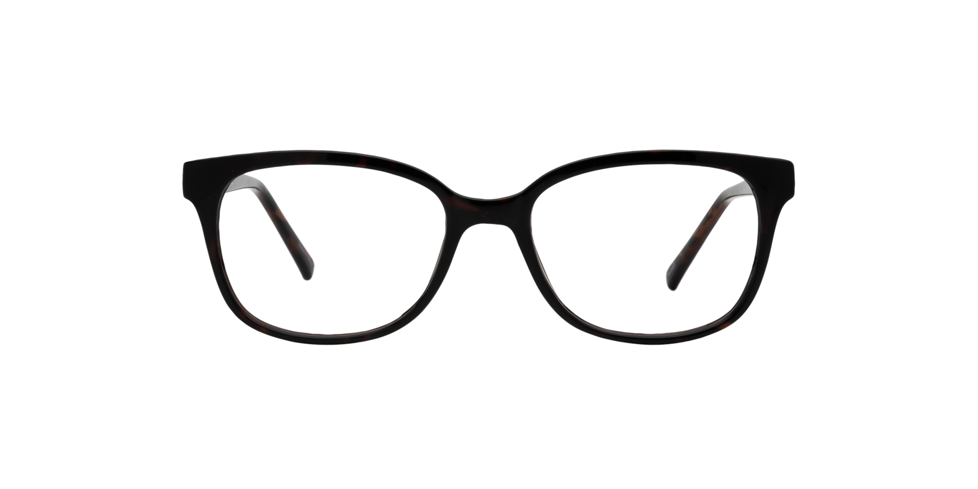 Clearly ROGGAN RIVER Dark Tortoise, Size: S