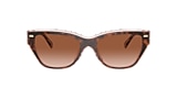 Coach Sunglasses HC8370U CH570