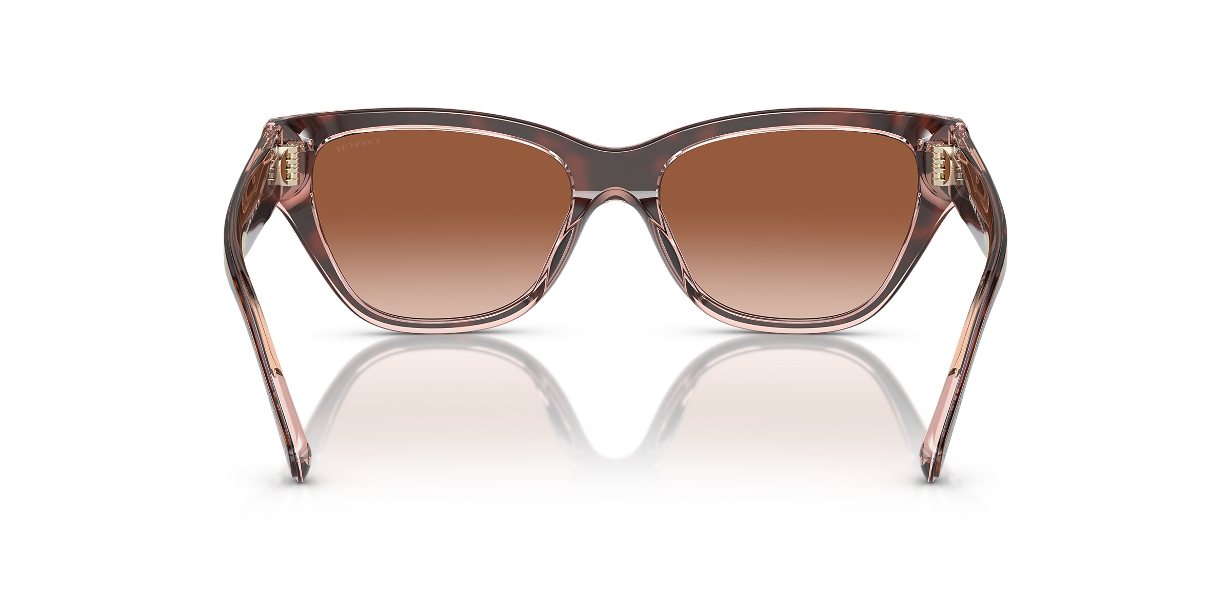 Coach Sunglasses HC8370U CH570