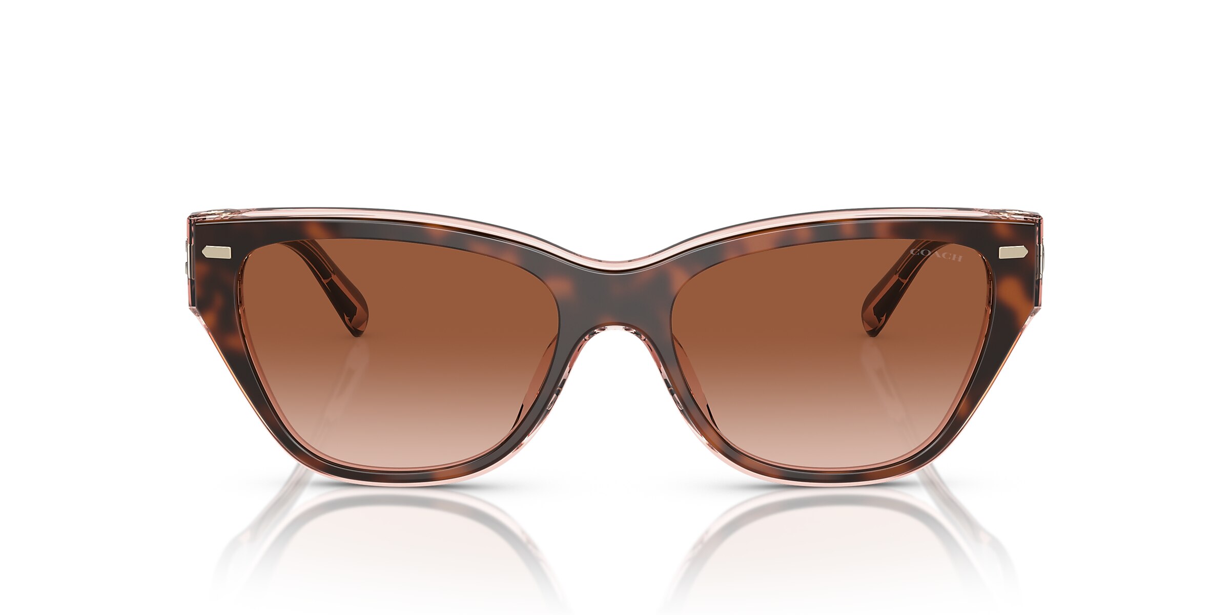 Coach Sunglasses HC8370U CH570