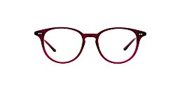 kam dhillon Glasses edith