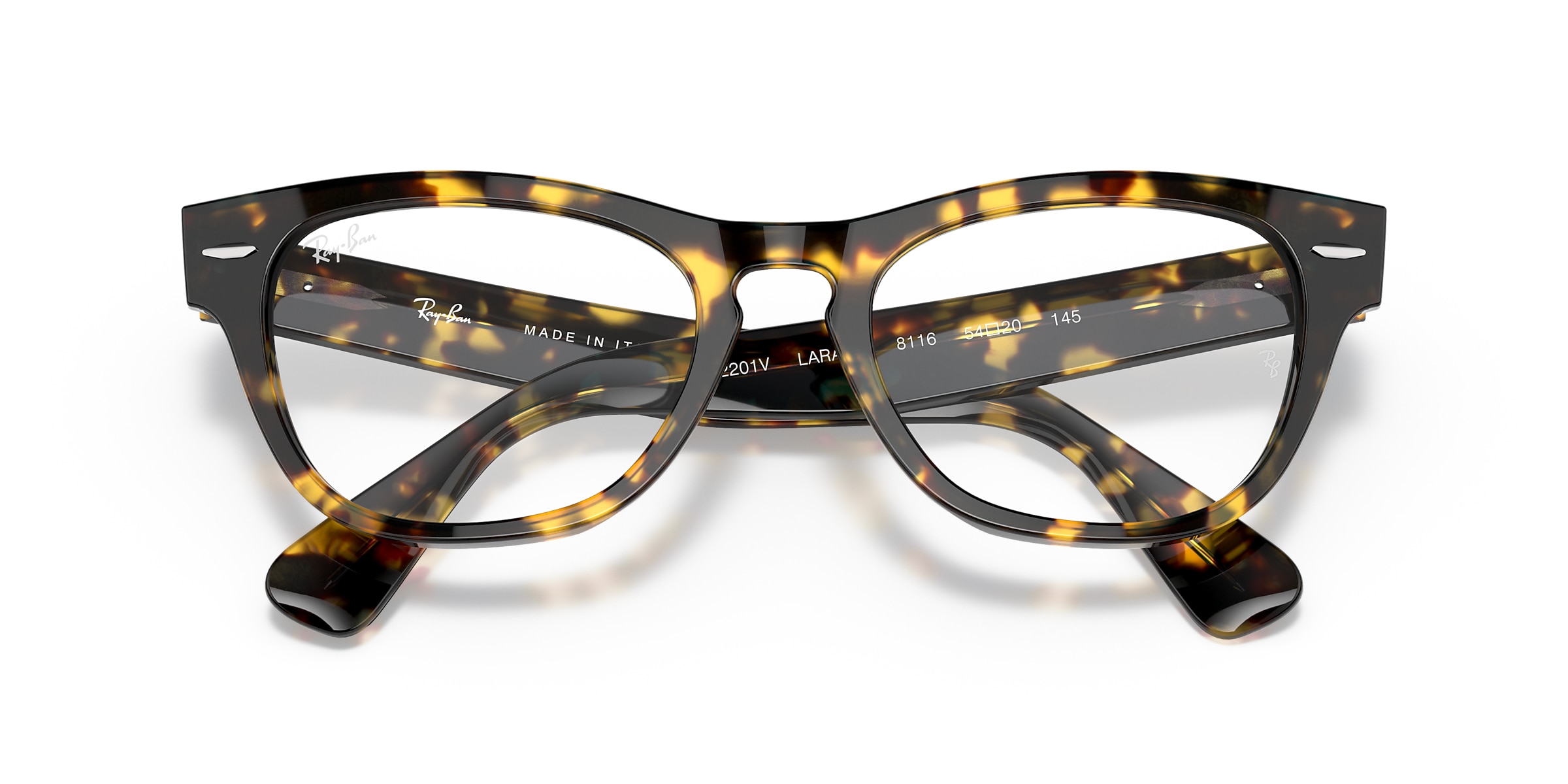 Ray-Ban Glasses RB2201V LARAMIE OPTICS