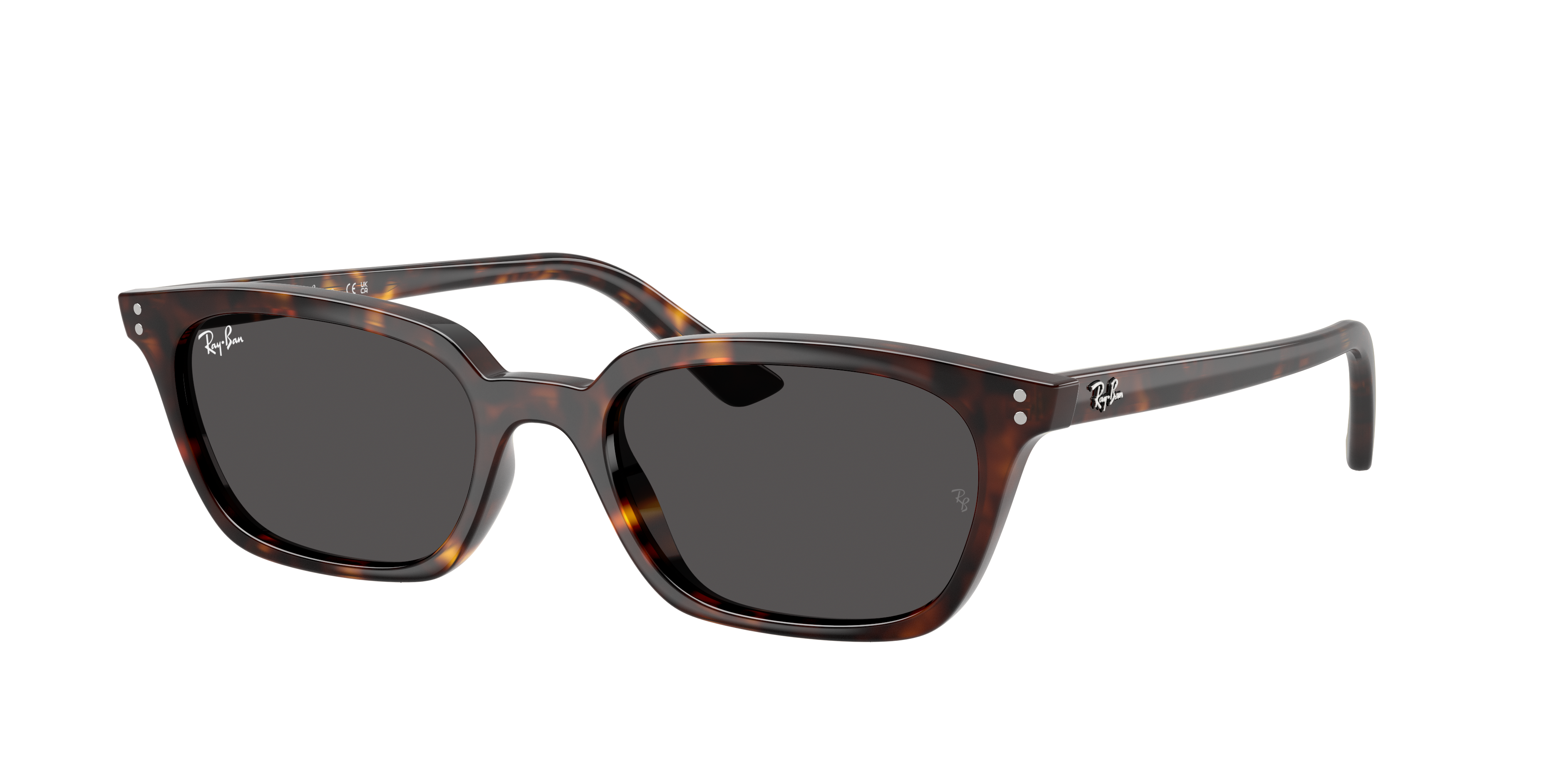 Ray-Ban RB4456 ZAYA BIO-BASED Sunglasses | Clearly