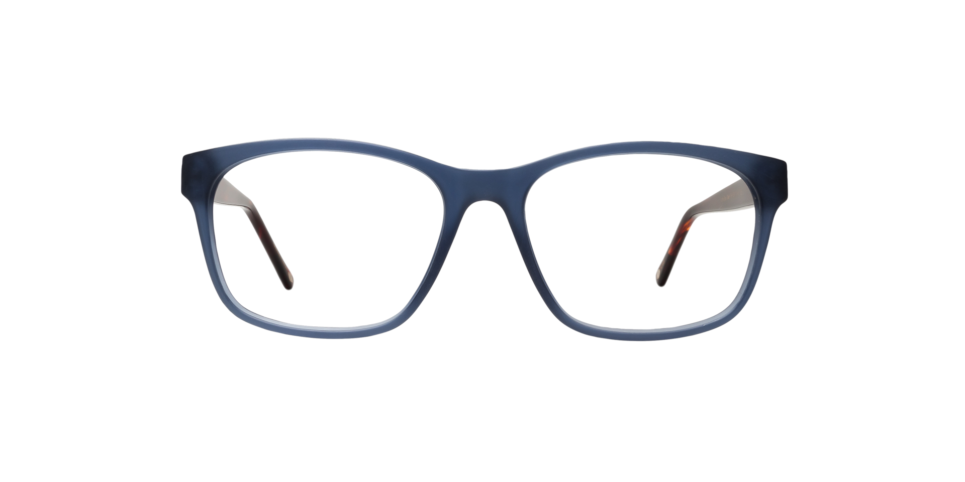 Clearly TURTLE BAY Steel Tortoise, Size: S