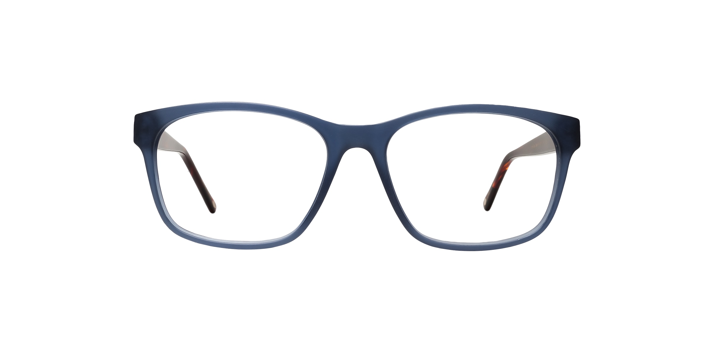 Clearly Glasses TURTLE BAY