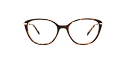 clearly Glasses cygnus