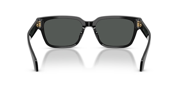 VE4513D