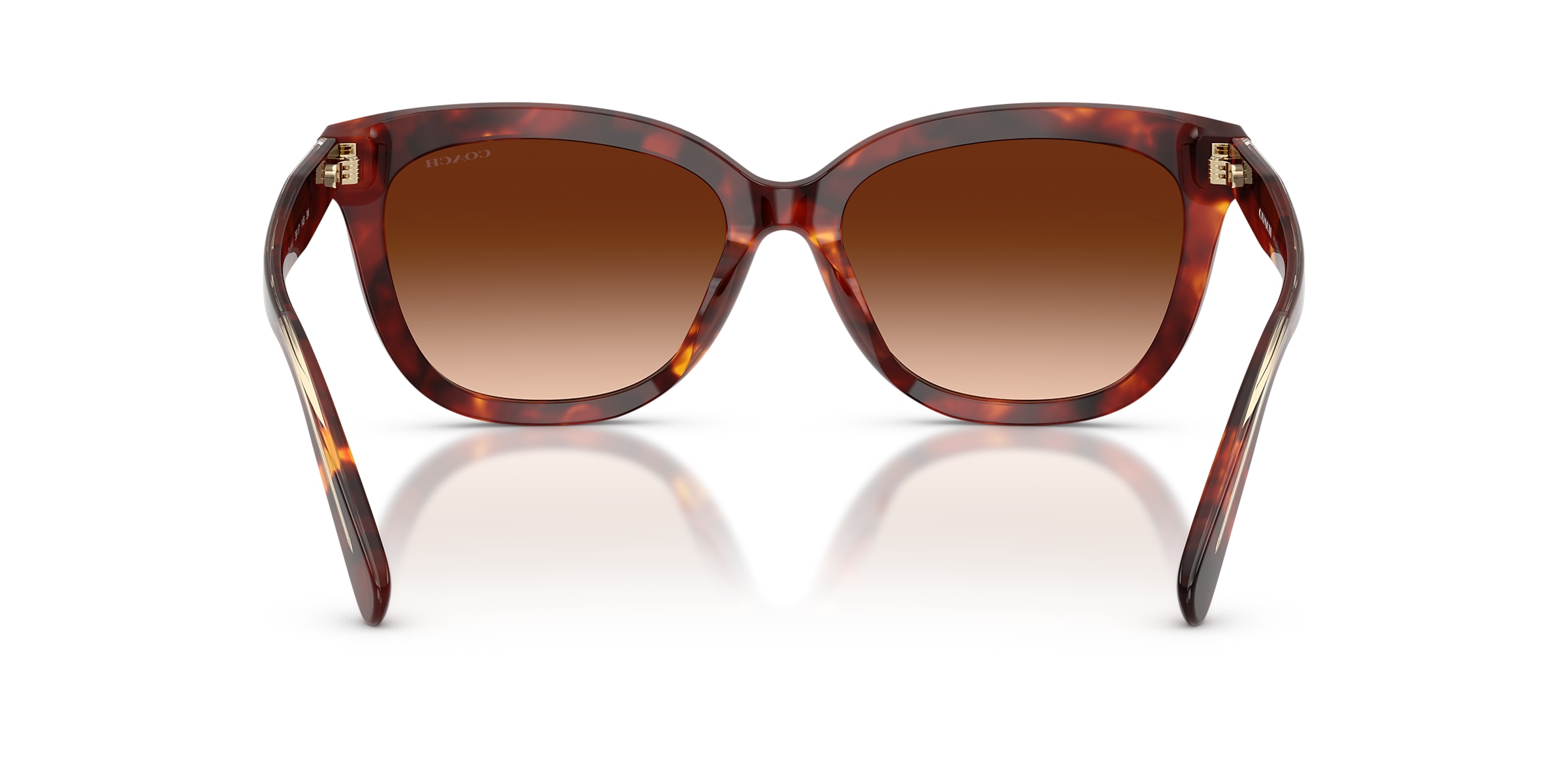 Coach Sunglasses HC8453U CDP53