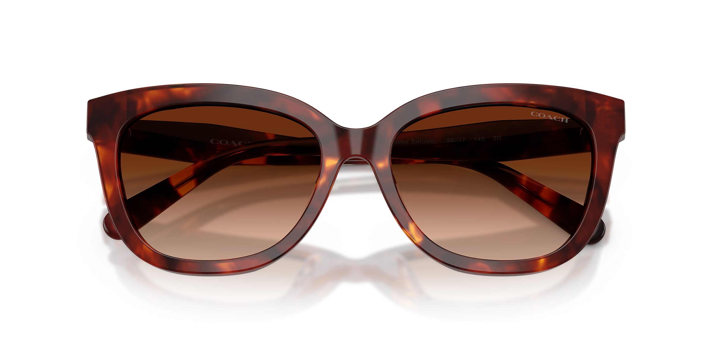 Coach Sunglasses HC8453U CDP53