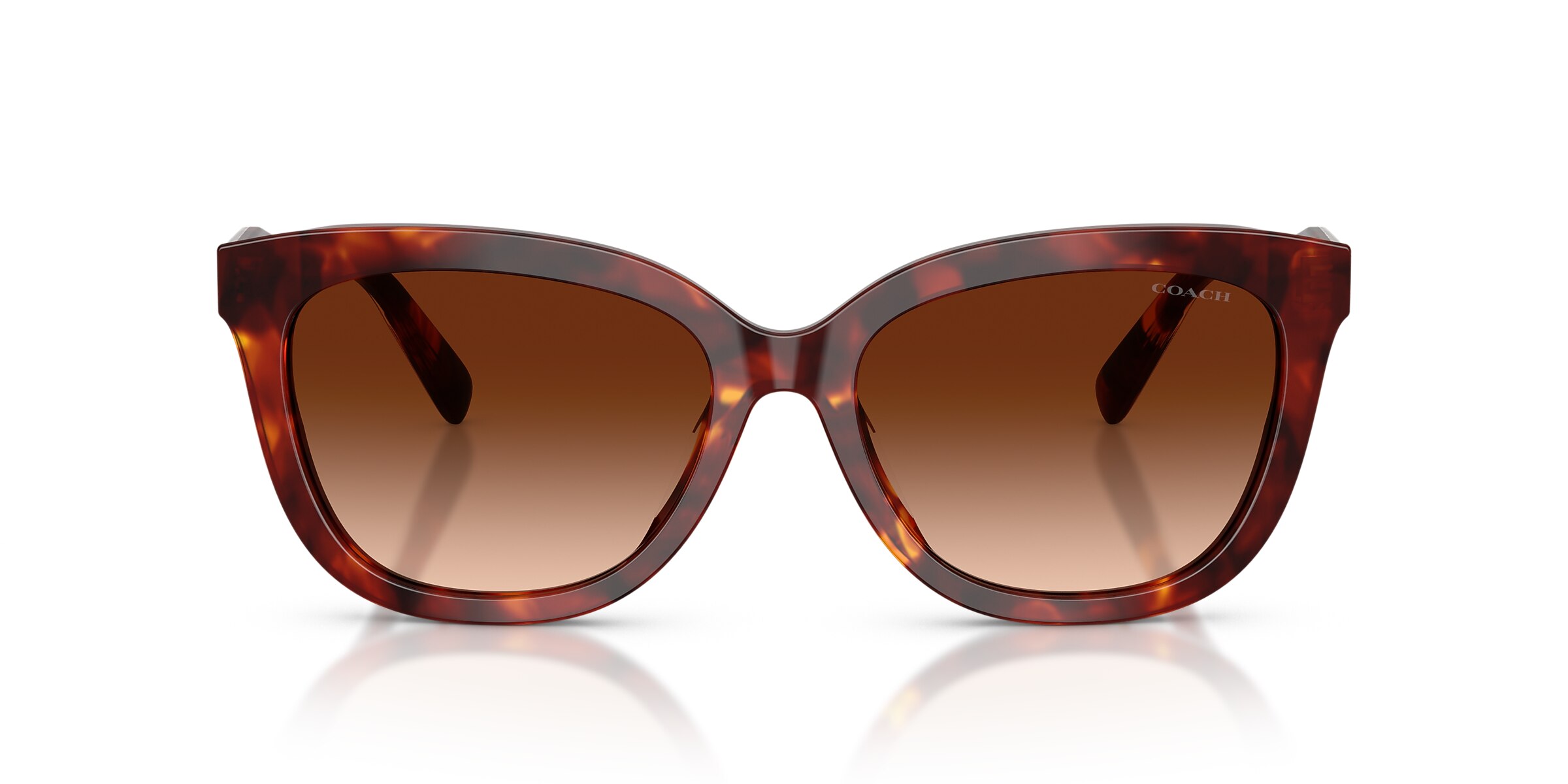 Coach Sunglasses HC8453U CDP53