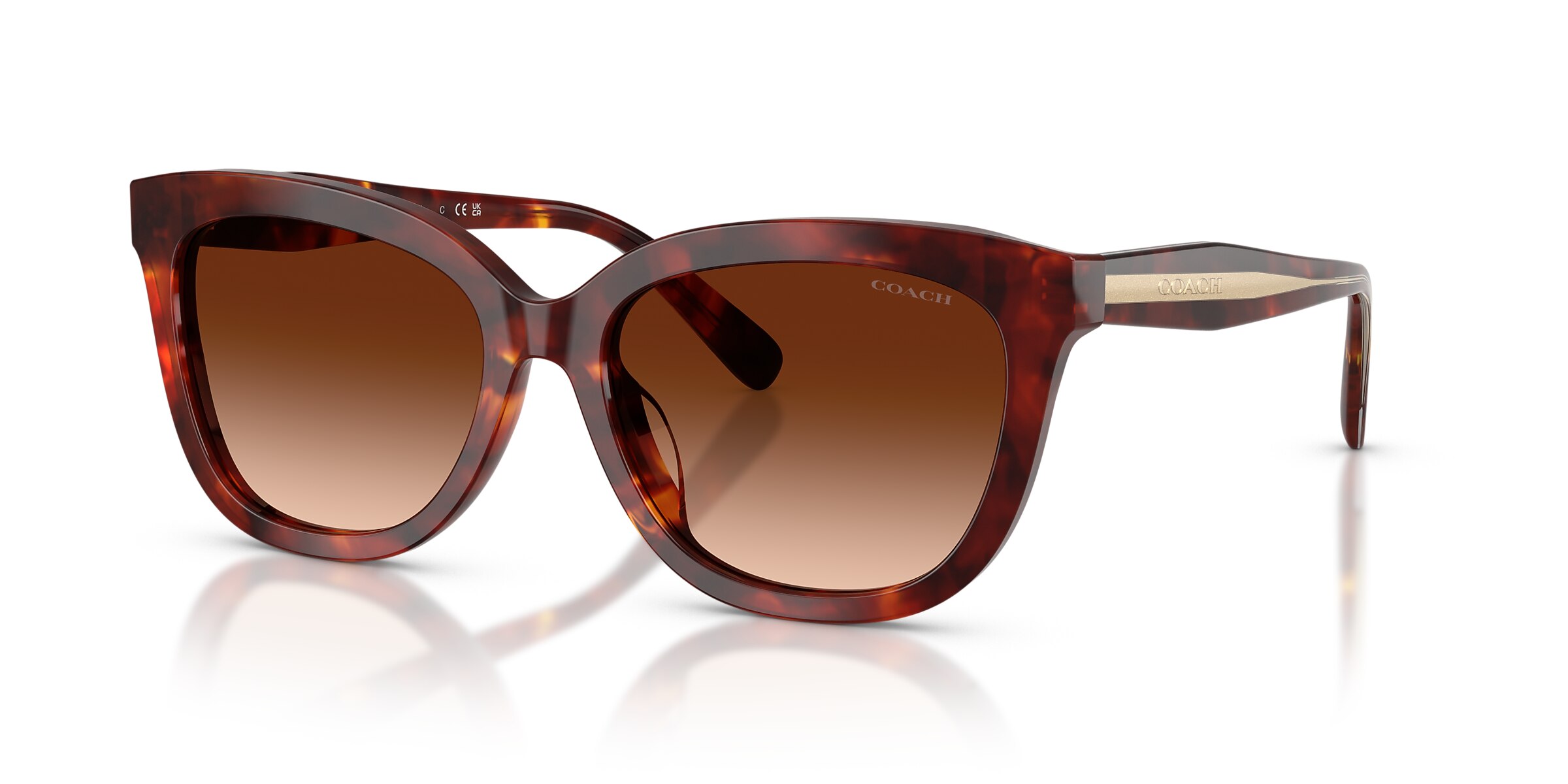 Coach Sunglasses HC8453U CDP53