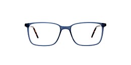 clearly Glasses minto