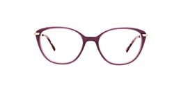 clearly Glasses cygnus