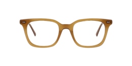 clearly Glasses teagan