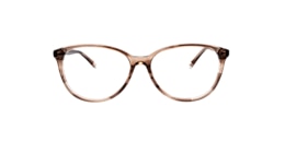clearly Glasses fig