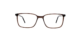 clearly Glasses minto