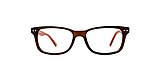 Clearly Glasses TAVANI