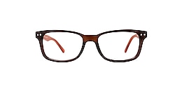 clearly Glasses tavani
