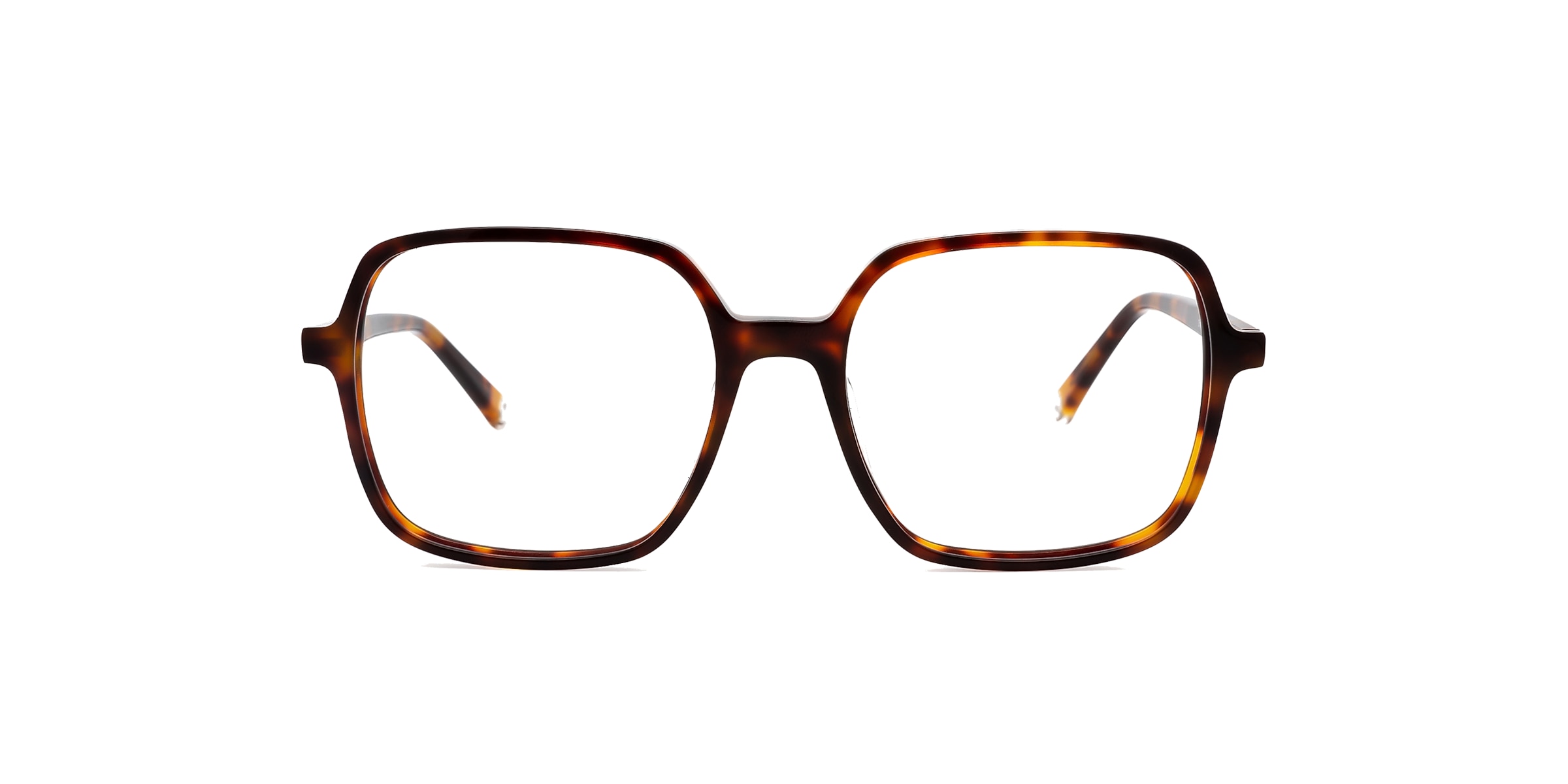 Clearly Glasses DRAGON