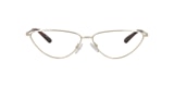 Clearly Glasses SHARP