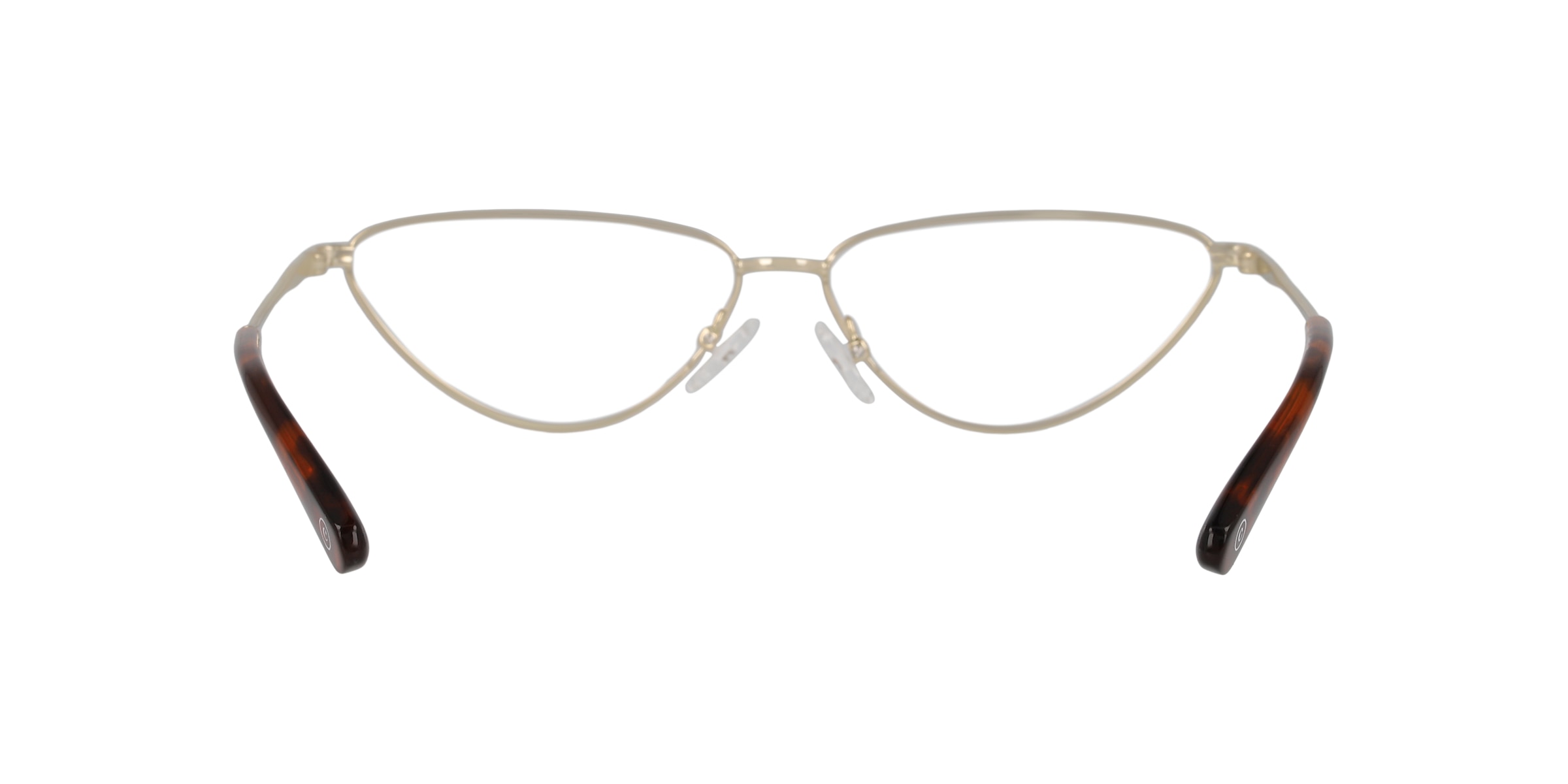 Clearly Glasses SHARP