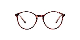 clearly Glasses mt pearl