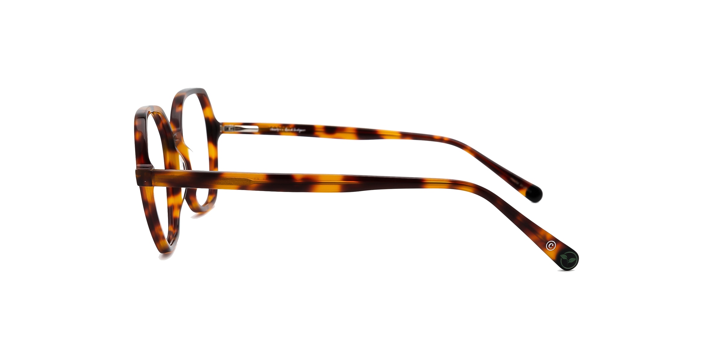 Clearly Glasses BRISTLECONE