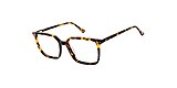 HERMIPPE