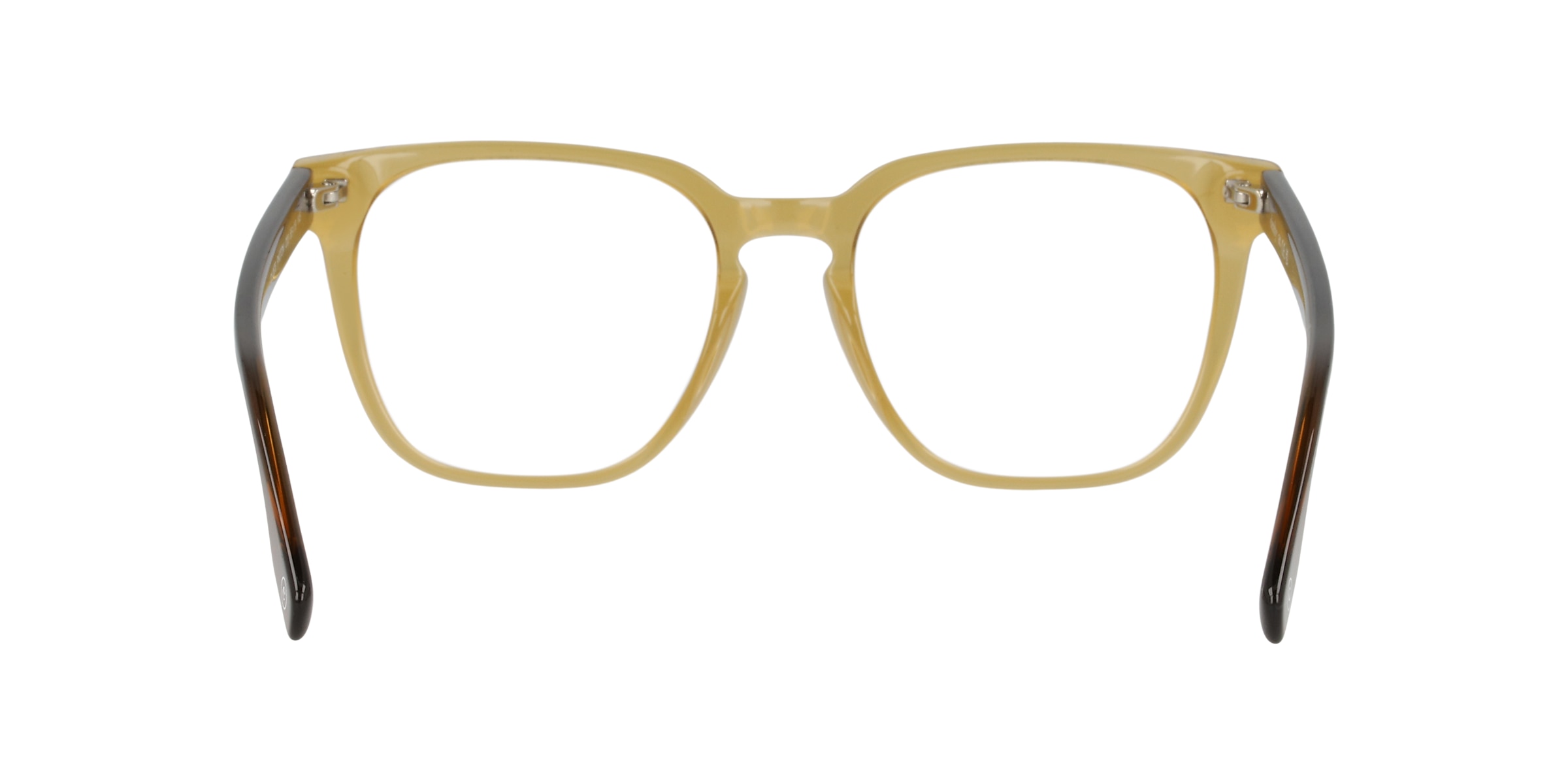 Clearly Glasses PHOTON