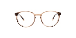 clearly Glasses pine