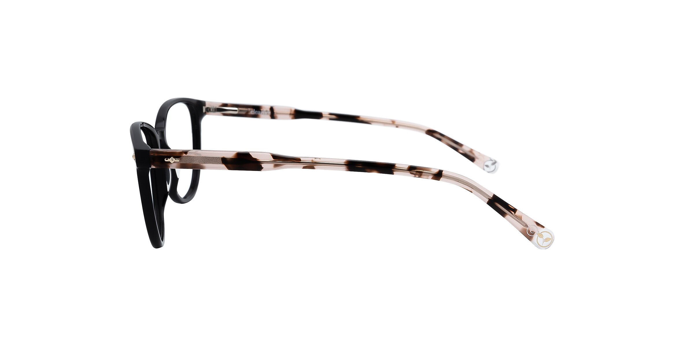 Clearly Glasses BANYAN