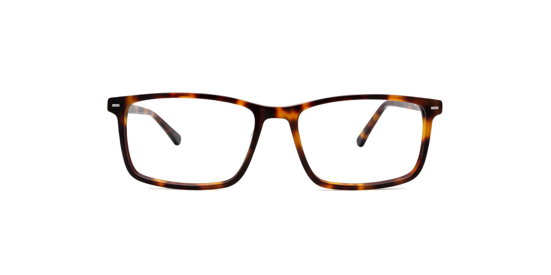 Clearly NEEM Havana, Size: M