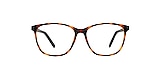 Clearly Glasses FORTUNE