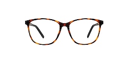 clearly Glasses fortune